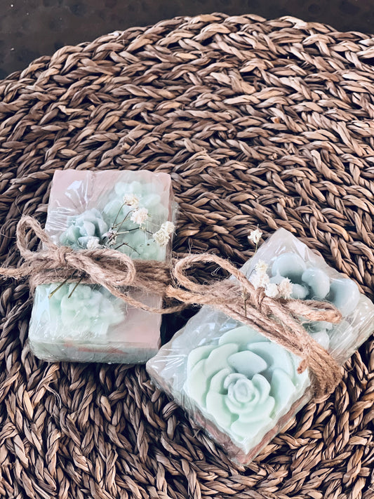 Succulent soap (Goats milk)
